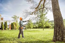 Best Tree Mulching  in Turners Falls, MA